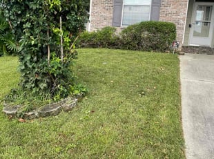 Bush Trimming by Herschell Bradley for Shane R. in Tallahassee, FL