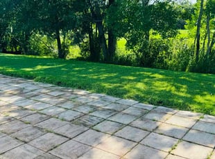 Stacy T.'s Lawn Maintenance service result