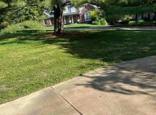 Erin P.'s Lawn Mowing service result