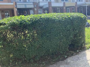 Bush Trimming by Curtis Woods for Saleema P. in Philadelphia, PA