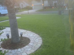 Erika K.'s Lawn Mowing Service service result