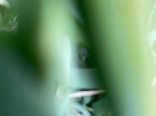 Weeding by William Bluitt for Rachel F. in Indianapolis, IN