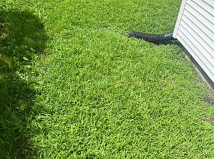 Angelina D.'s Lawn Mowing service result