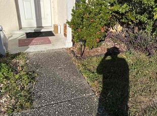 Weeding by Alain Beckfordxx for Savana L. in Tampa, FL