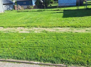 Susan M.'s Grass Cutting service result