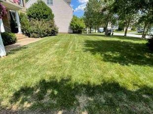 Shazia H.'s Lawn Mowing Service service result