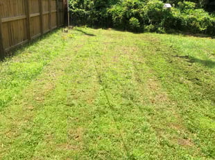 Cleanups by Maurice Pride for Jay C. in Jacksonville, AR