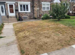 Cleanups by William Perdigon for Solange A. in Drexel Hill, PA