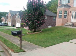 Michael H.'s Lawn Care service result