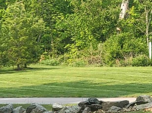 Alexandria A.'s Lawn Service service result