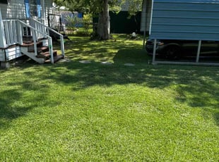 Diane B.'s Lawn Care service result