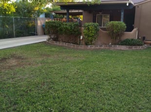 Bush Trimming by Samantha Santana for Irene V. in Phoenix, AZ