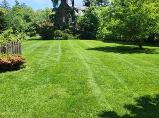 Jarrid C.'s Lawn Care service result