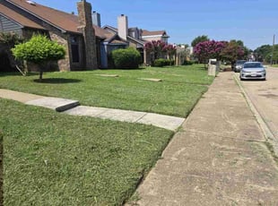 Rachel T.'s Lawn Mowing Service service result