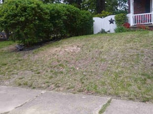 Bush Trimming by Matthew Rybkoaki for Mary S. in Canton, OH