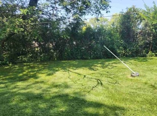 Chelsee L.'s Lawn Service service result