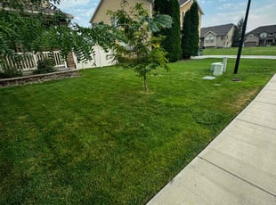 Nelia M.'s Lawn Mowing service result