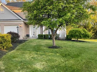 Dustin F.'s Lawn Mowing Service service result