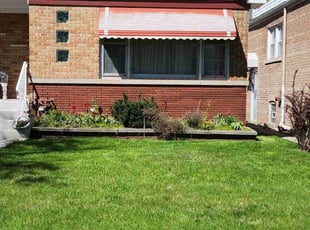 Laila K.'s Lawn Mowing service result