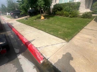 Sanjeev H.'s Lawn Care service result