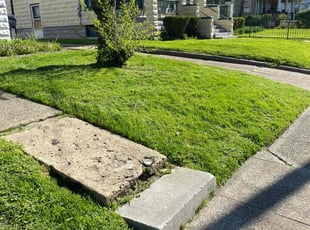 Rhonda W.'s Lawn Care service result