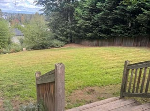 Summer M.'s Grass Cutting service result