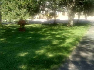 Donald V.'s Lawn Service service result