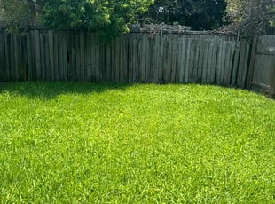 Blanche J.'s Lawn Mowing service result