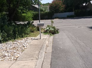 Bush Trimming by Jason Westgor for Ann Marie H. in San Antonio, TX
