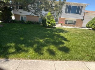 Jessica E.'s Lawn Maintenance service result
