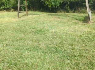 Kelly D.'s Lawn Care service result