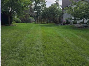Brenda H.'s Lawn Service service result