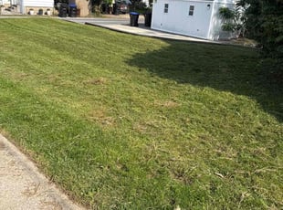 Jordan C.'s Lawn Mowing service result