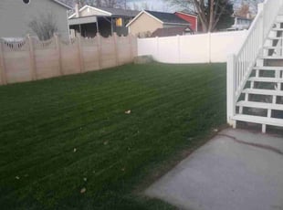 Gregg S.'s Lawn Mowing service result