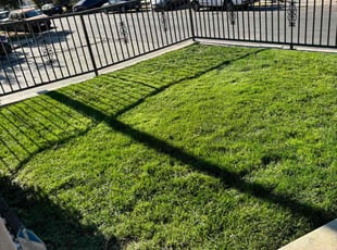 De J.'s Lawn Care service result