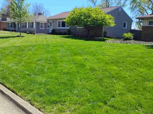 Lauren P.'s Lawn Maintenance service result