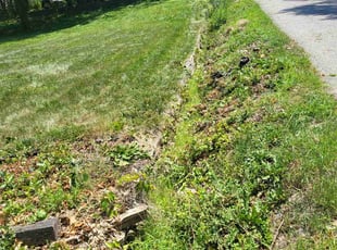 Weeding by Cyrus Tindle for Aaron J. in Kansas City, KS