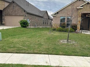 Villiam K.'s Lawn Mowing service result