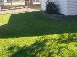 Susan D.'s Lawn Service service result