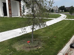 Yeny B.'s Lawn Service service result