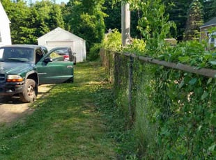 Bush Trimming by Darryl Smith for Lindsy R. in East Windsor, CT