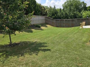 Norbert B.'s Lawn Maintenance service result