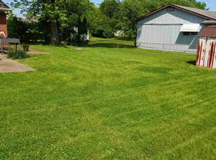 Leaf Removal by Damond Merridith for Sonya R. in Florissant, MO