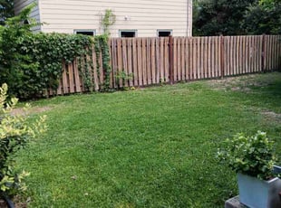 Rodolfo U.'s Lawn Mowing Service service result