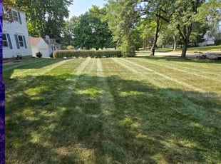 Alexander W.'s Lawn Service service result