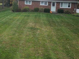 joel A.'s Lawn Maintenance service result