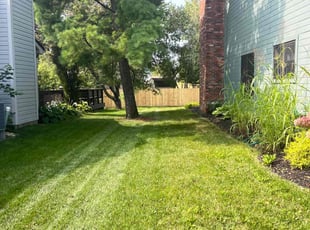 David B.'s Lawn Mowing service result