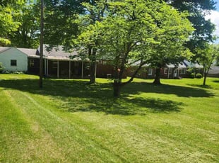 Iris E.'s Grass Cutting service result