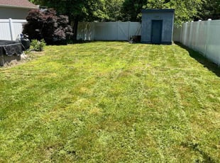 Steve T.'s Lawn Mowing Service service result