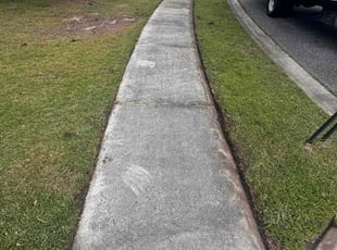Deanne Z.'s Lawn Mowing Service service result
